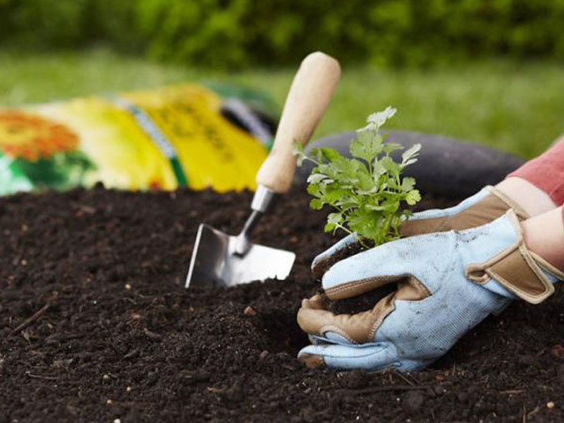 Potting soil for plants and Seeds