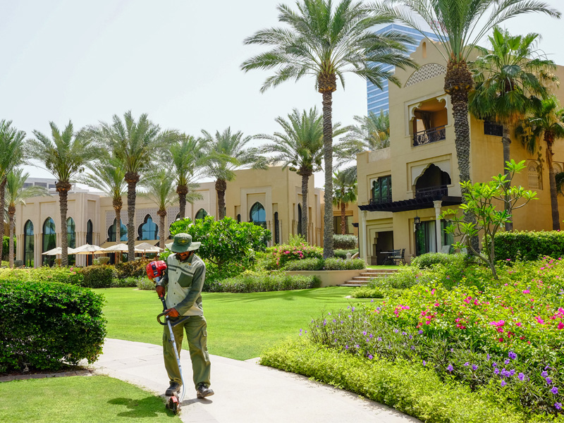 Landscape Maintenance - No.1 Landscape Maintenance Company in Dubai -  Desert Group | Best Landscaping Company in UAE