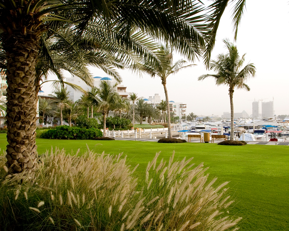 Dubai Creek Landscape constructed by Desert Group