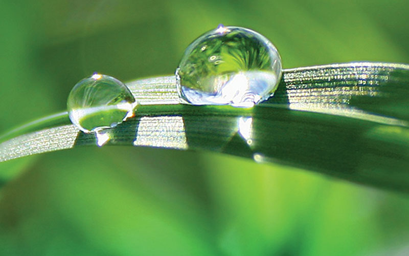 Sustainable Landscape by Desert Landscape