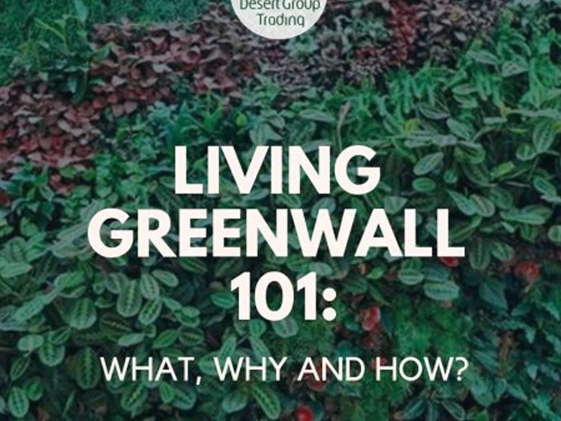 LIVING GREEN WALLS 101: WHAT, WHY AND HOW?
