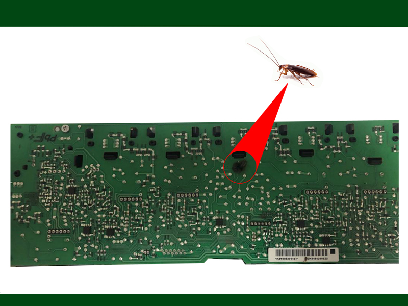 Affected Printer Motherboard by Cockroach in a Corporate Office