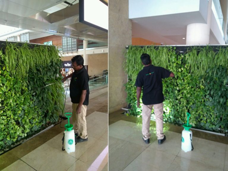 Dubai World Trade Centre Maintenance by Plantscapes