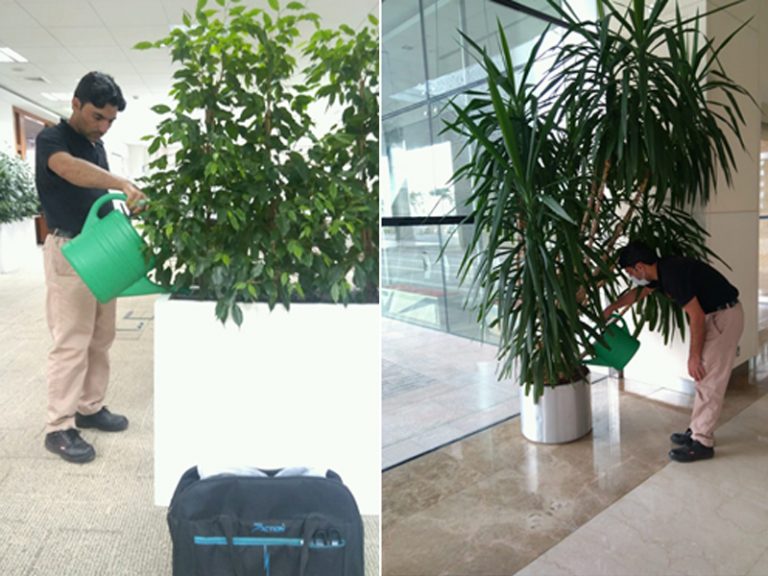 Dubai World Trade Centre Maintenance by Plantscapes