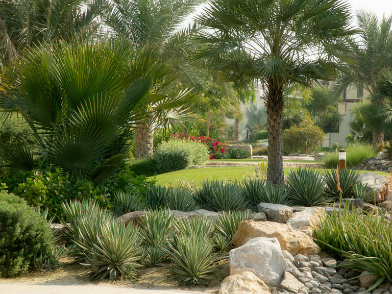 Private villa in Mushrif village Landscape Design by Desert INK