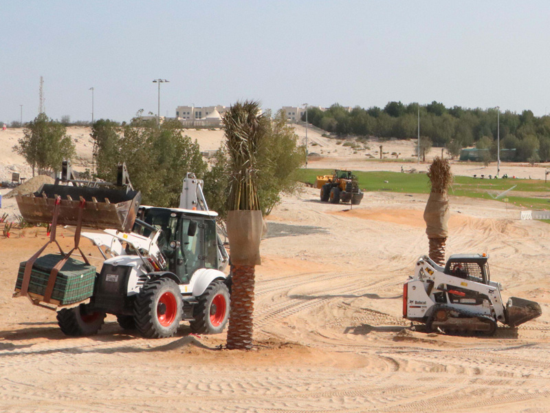 golf-course-construction-company-in-dubai-al-ruwais-golf-course