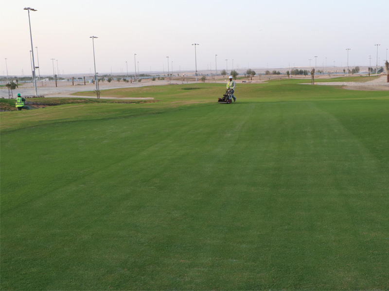 golf-course-construction-company-in-dubai-al-ruwais-golf-course