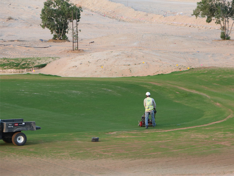 golf-course-construction-company-in-dubai-al-ruwais-golf-course