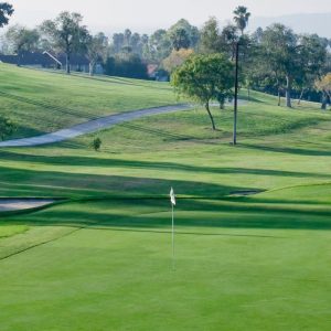 Turf-management