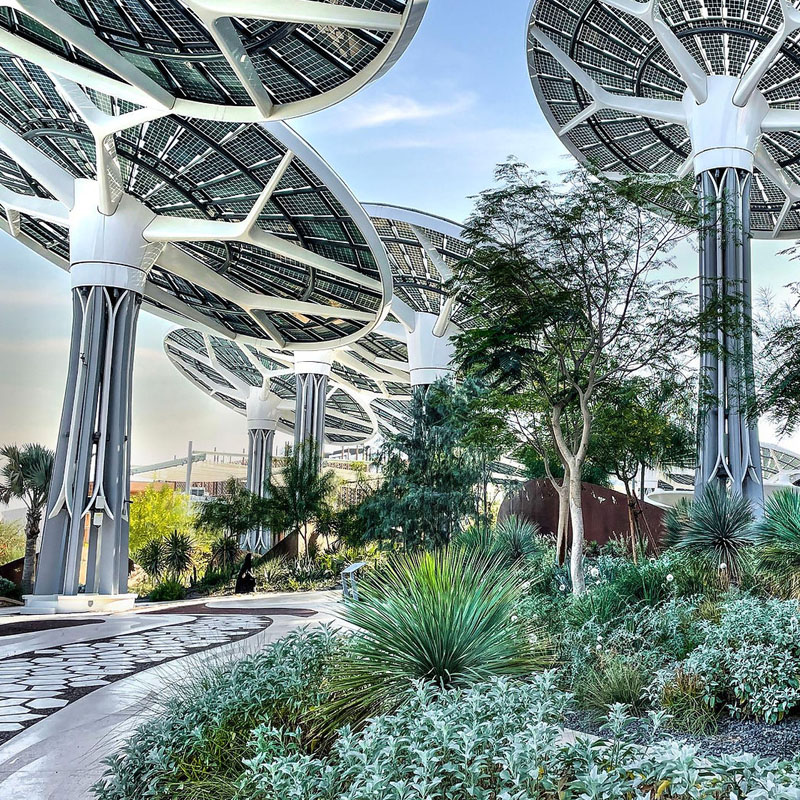 terra-by-desert-group-800