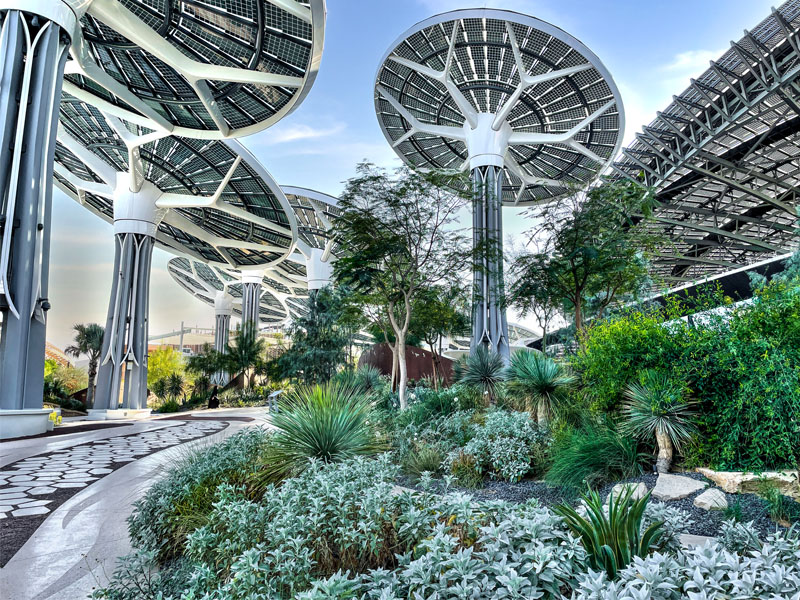 desert-ink-project-desert-group-company copy