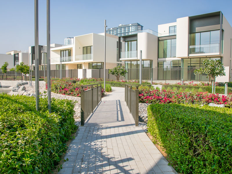 desert-landscape-project-desert-group-company