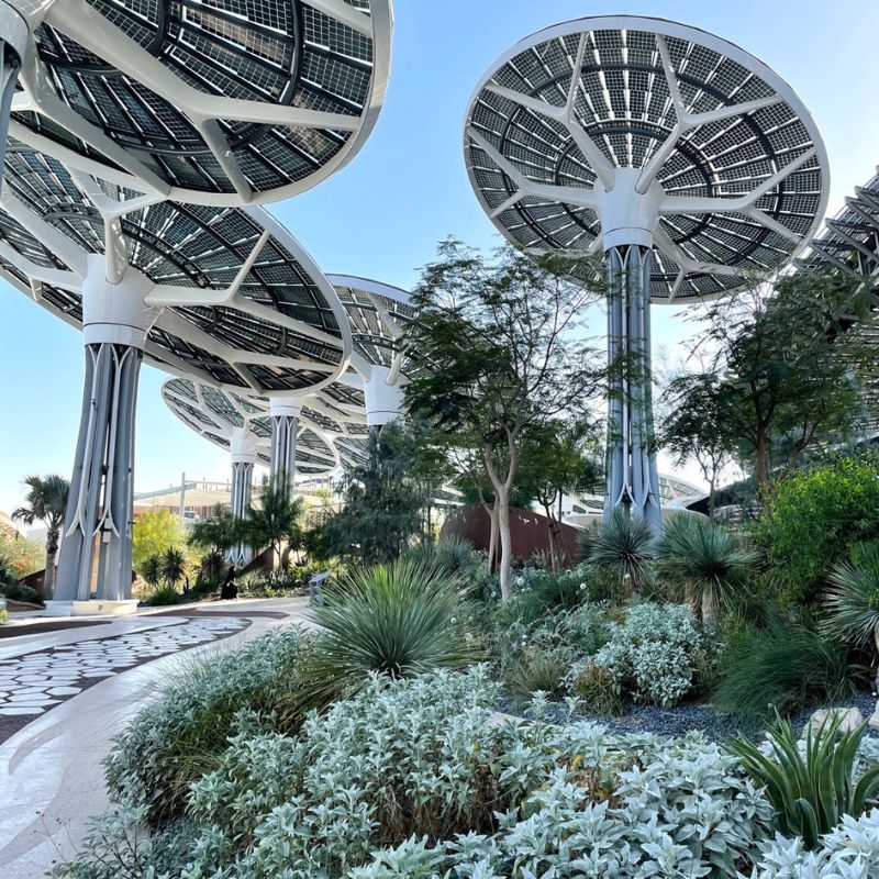 Large-scale-landscape-masterplan