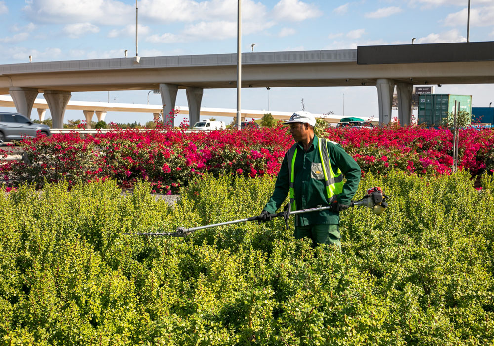 Desert-Group-staff-doing-landscape-maintenance-at-a-public-project