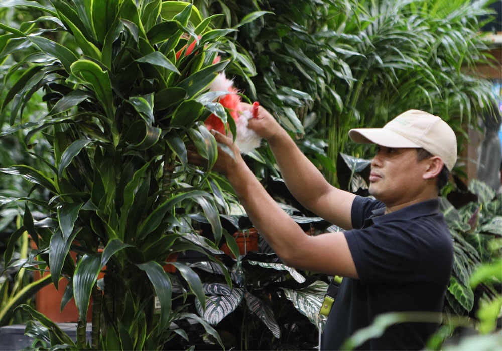 Meticulous care in our nursery — the foundation of every landscape we build.