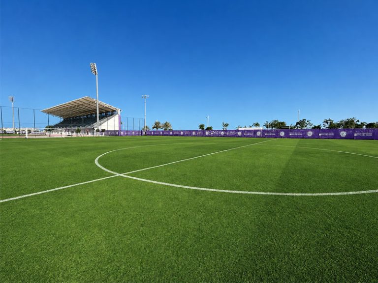 new-york-university-stadium