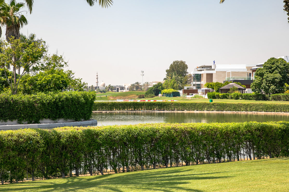 landscape-irrigation-community-streetscape